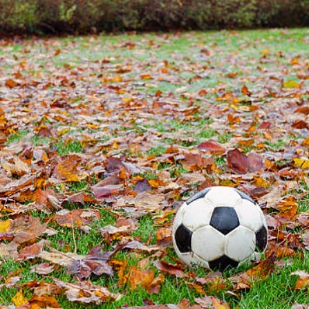 Fall Soccer